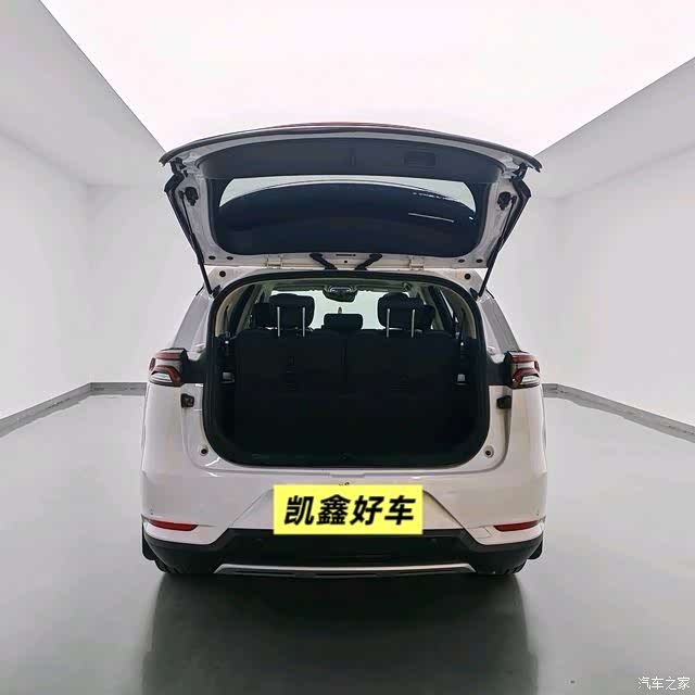 BYD Tang, 2019 10