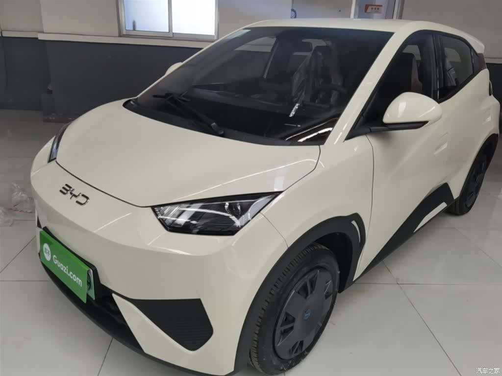 BYD Seagull, 2026 1