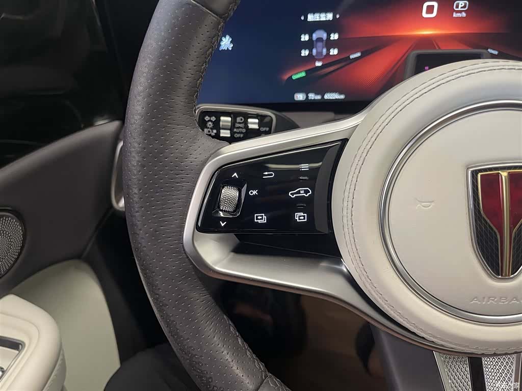 Hongqi E-HS9, 2022 22