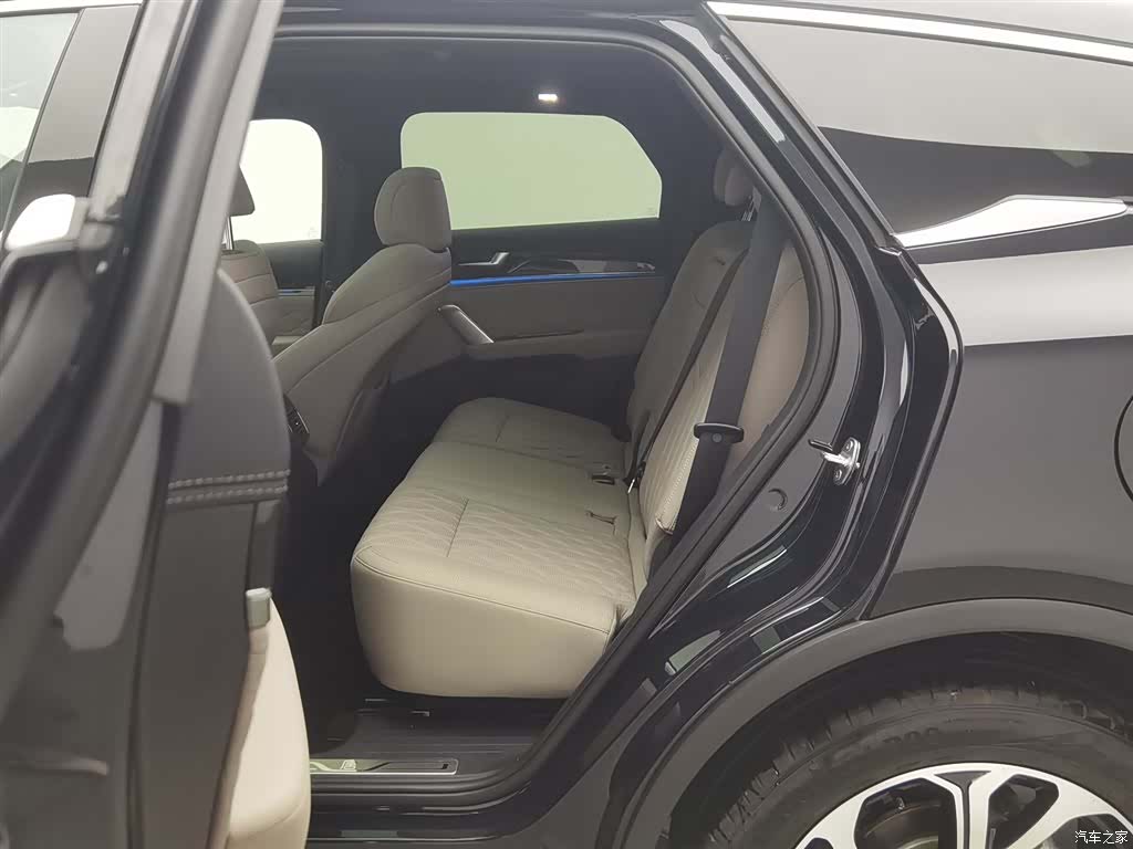 BYD Tang, 2025 15