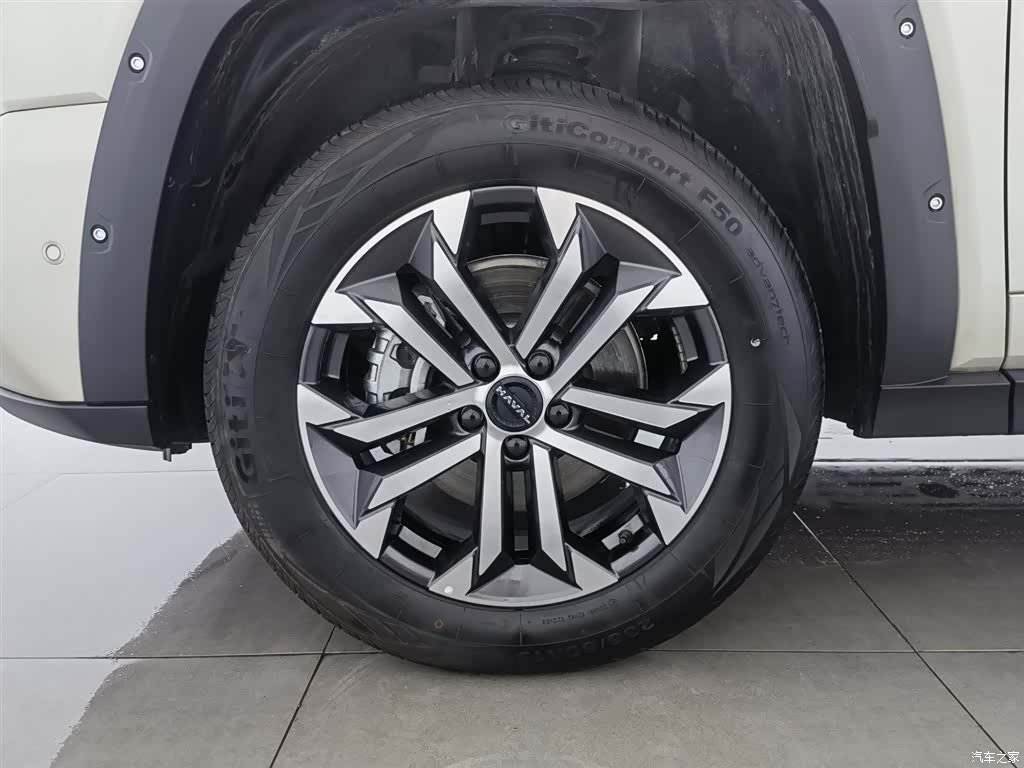Haval Big Dog, 2025 17