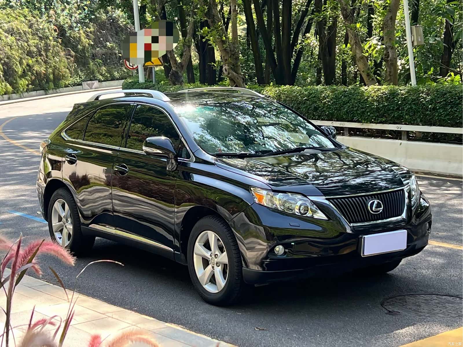 Lexus RX, 2010 3