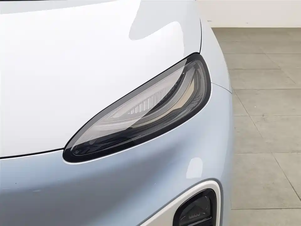 ARCFOX Polar fox koala