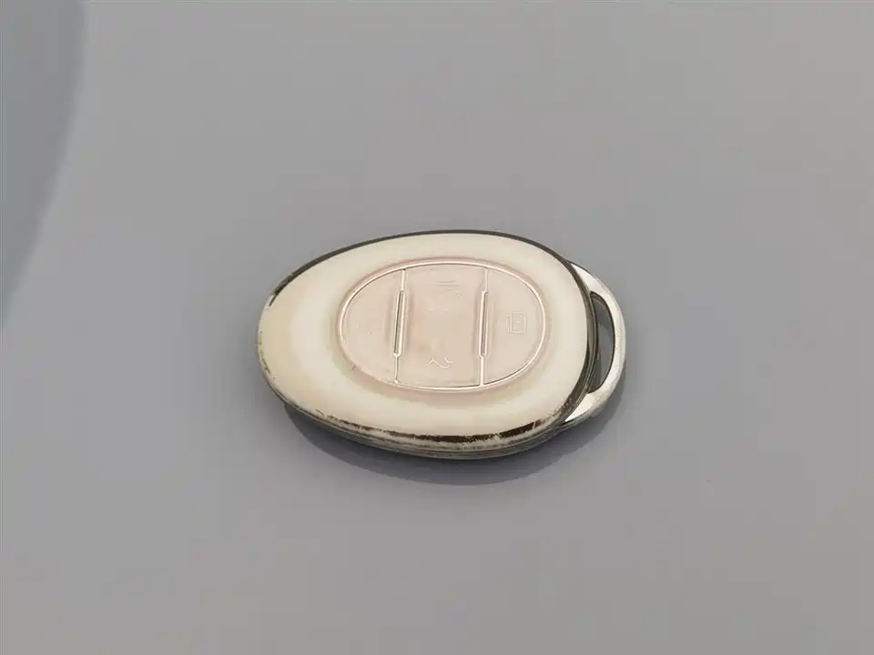 ARCFOX Polar fox koala