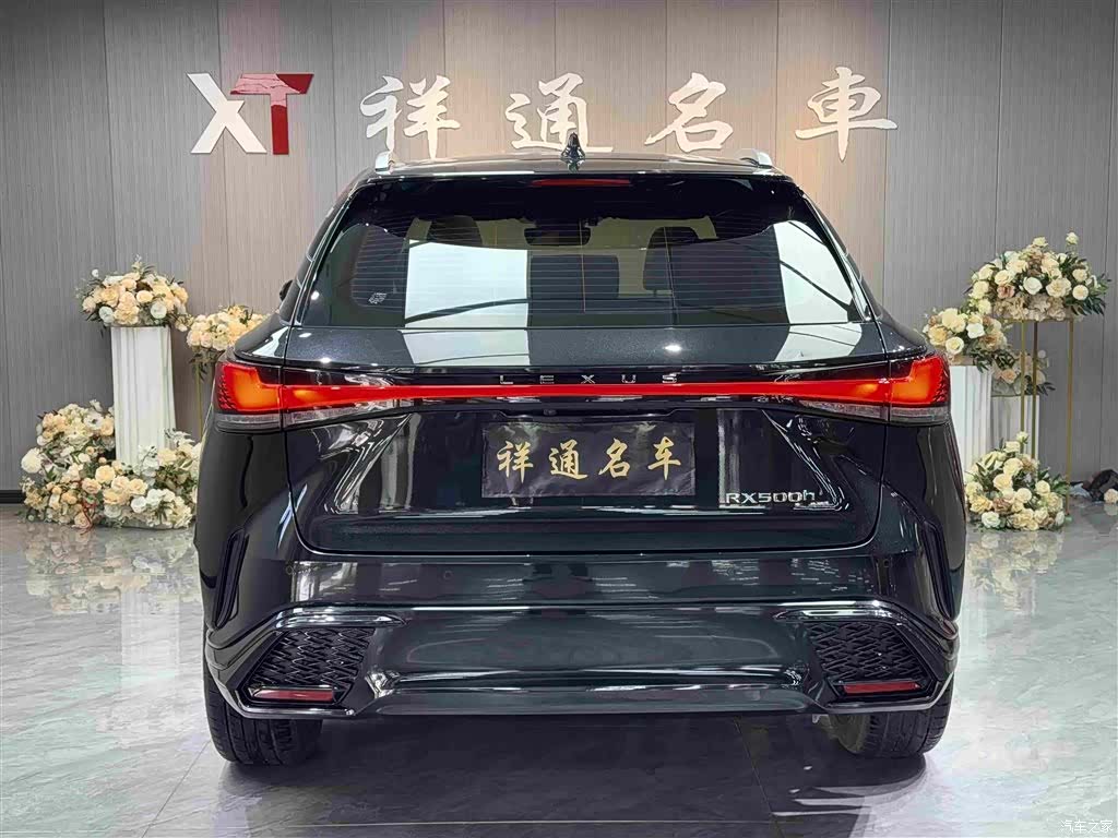 Lexus RX, 2023 25