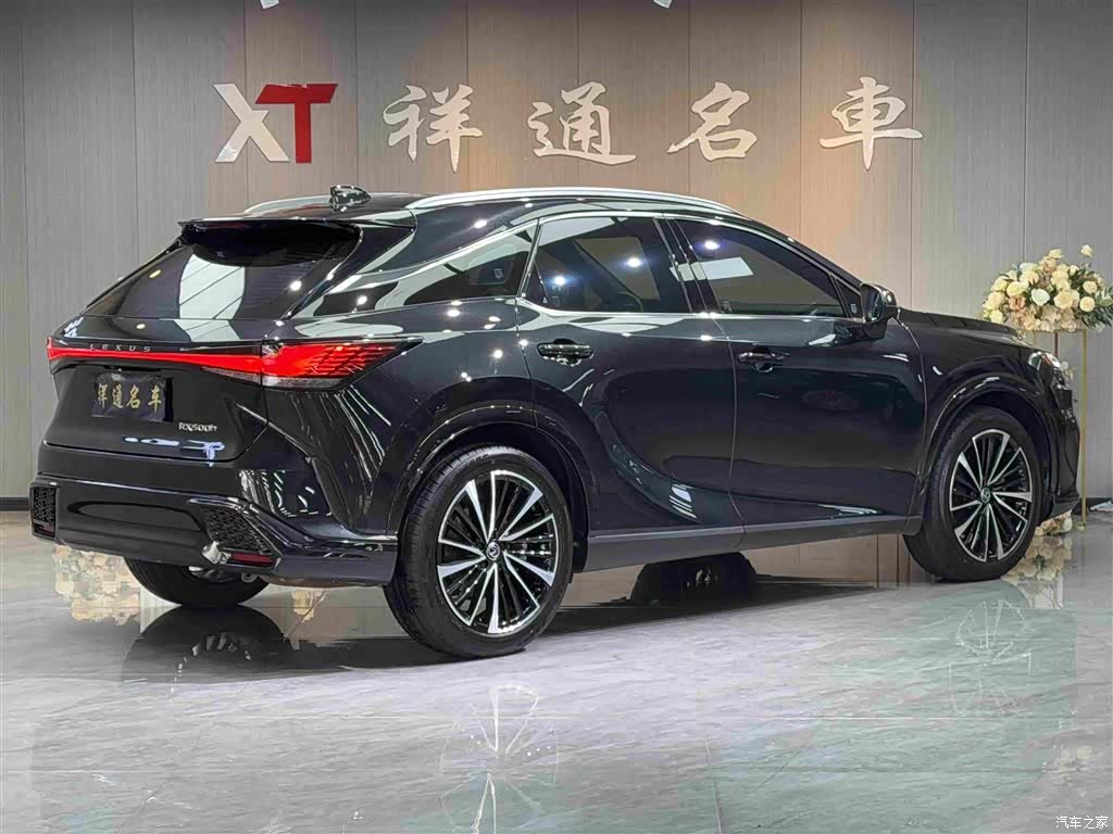 Lexus RX, 2023 26