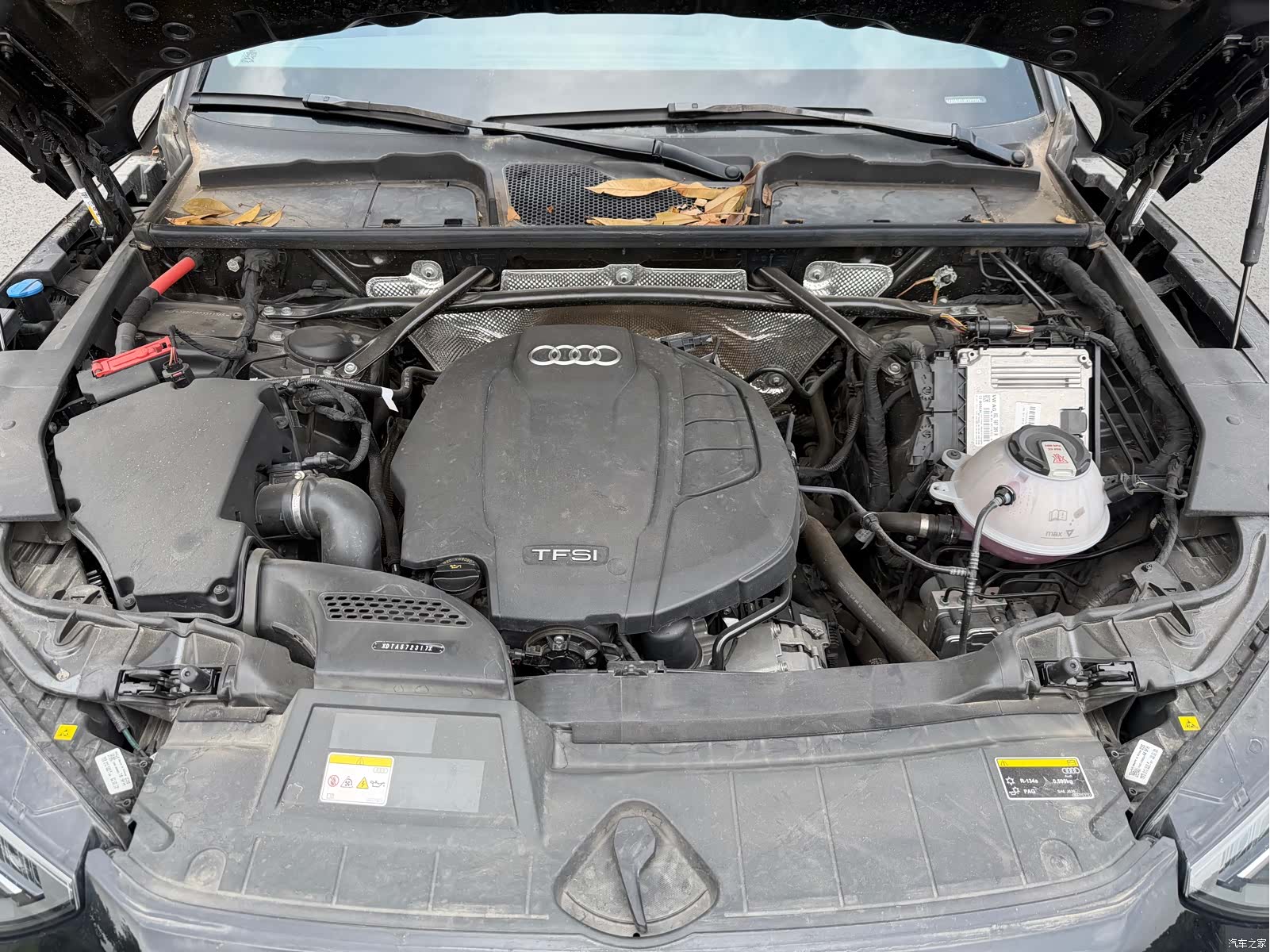 Audi Q5L, 2023 10