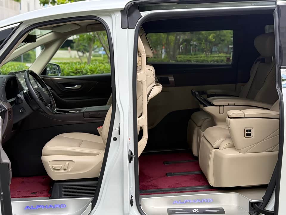 Toyota Elfa