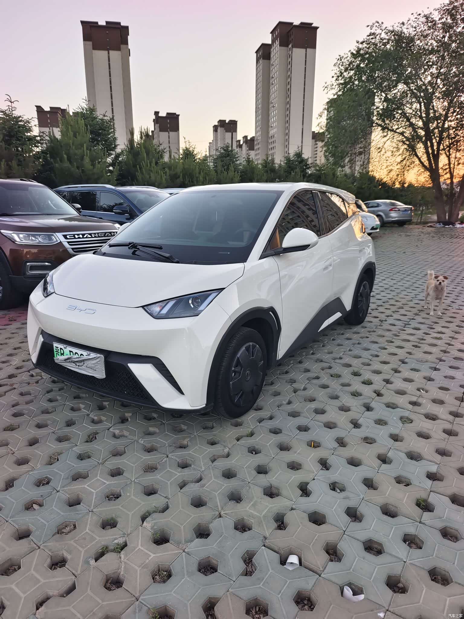 BYD Seagull, 2023 1