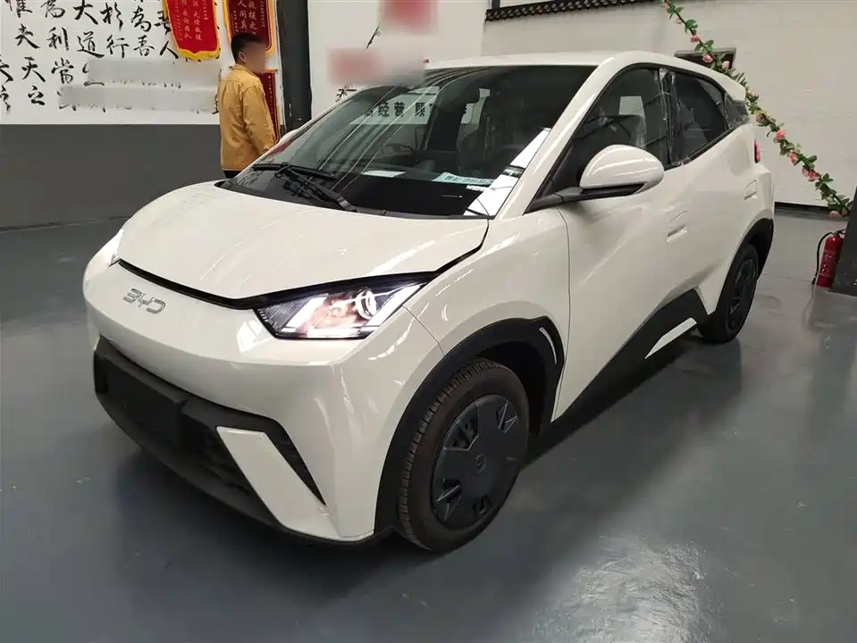 BYD Seagull