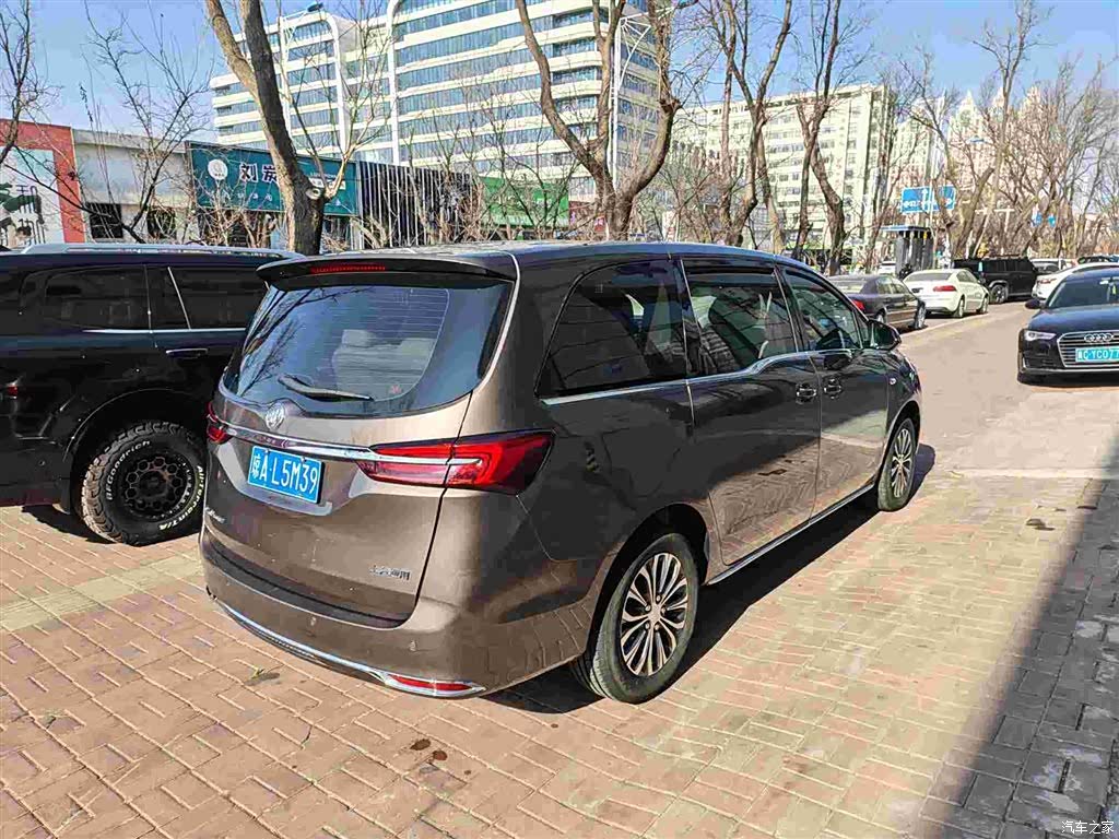 Buick GL8, 2022 все фото