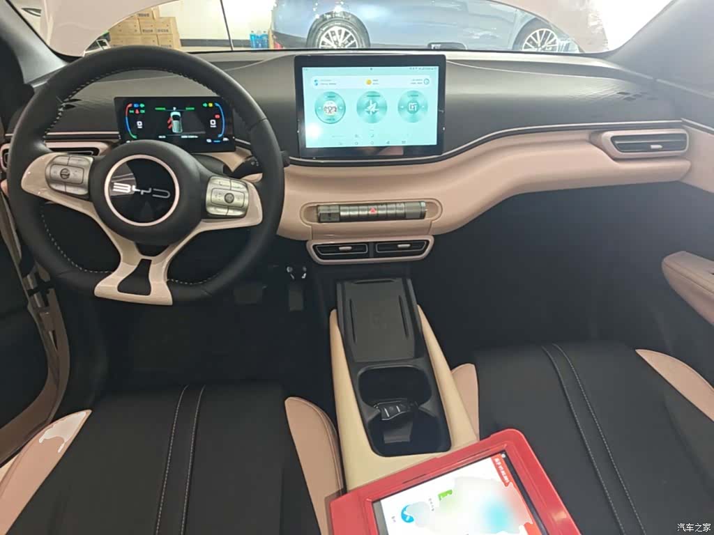 BYD Seagull, 2024 10