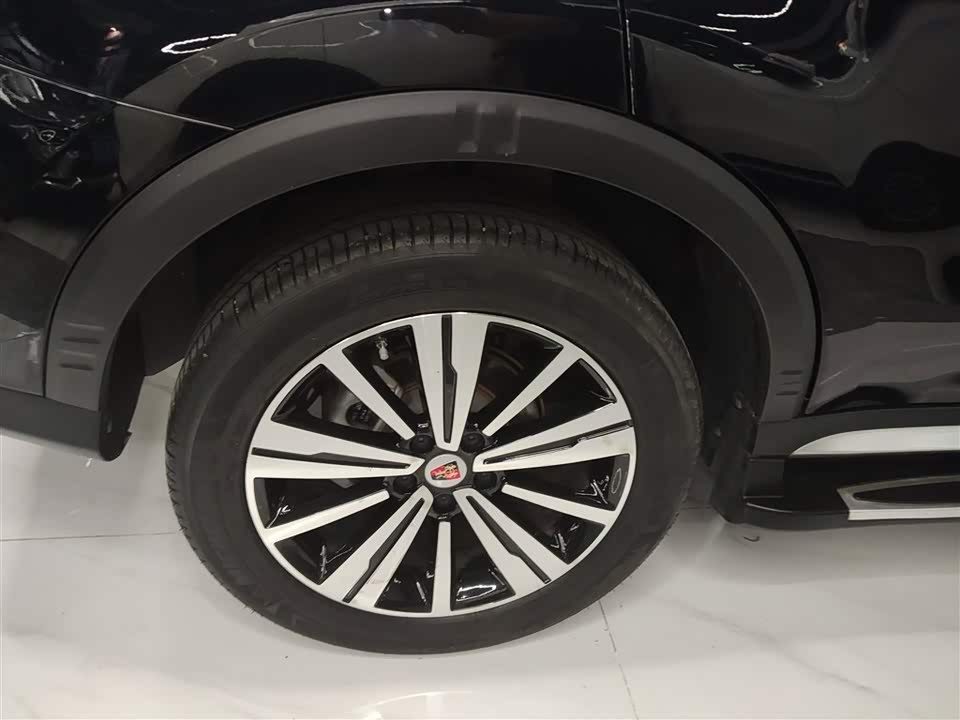 Roewe RX5 New energy