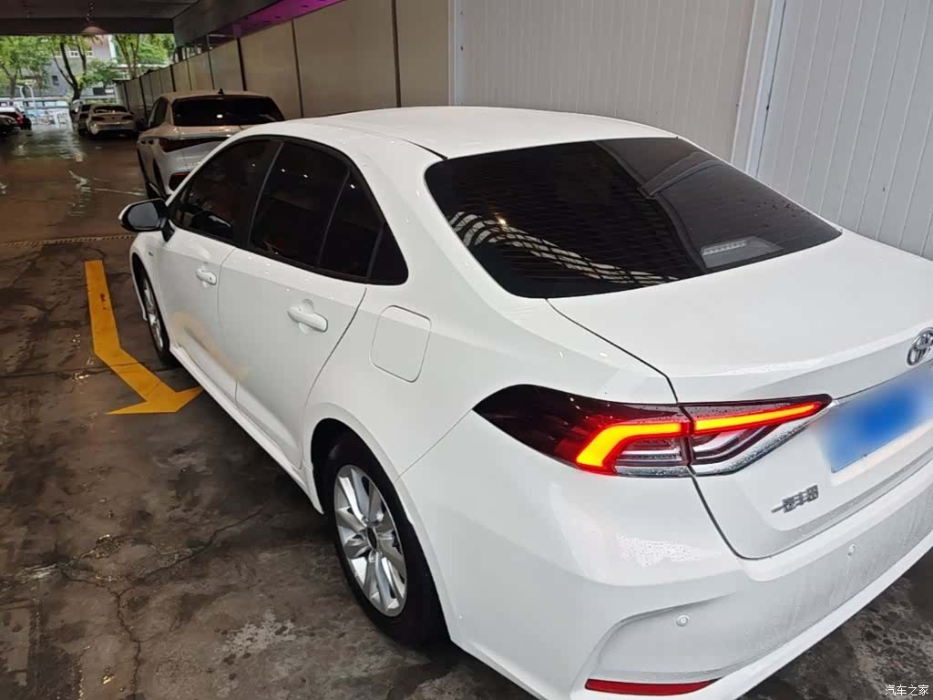 Toyota Corolla, 2024 все фото