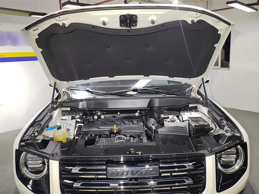 Haval Big dog Haval Big dog