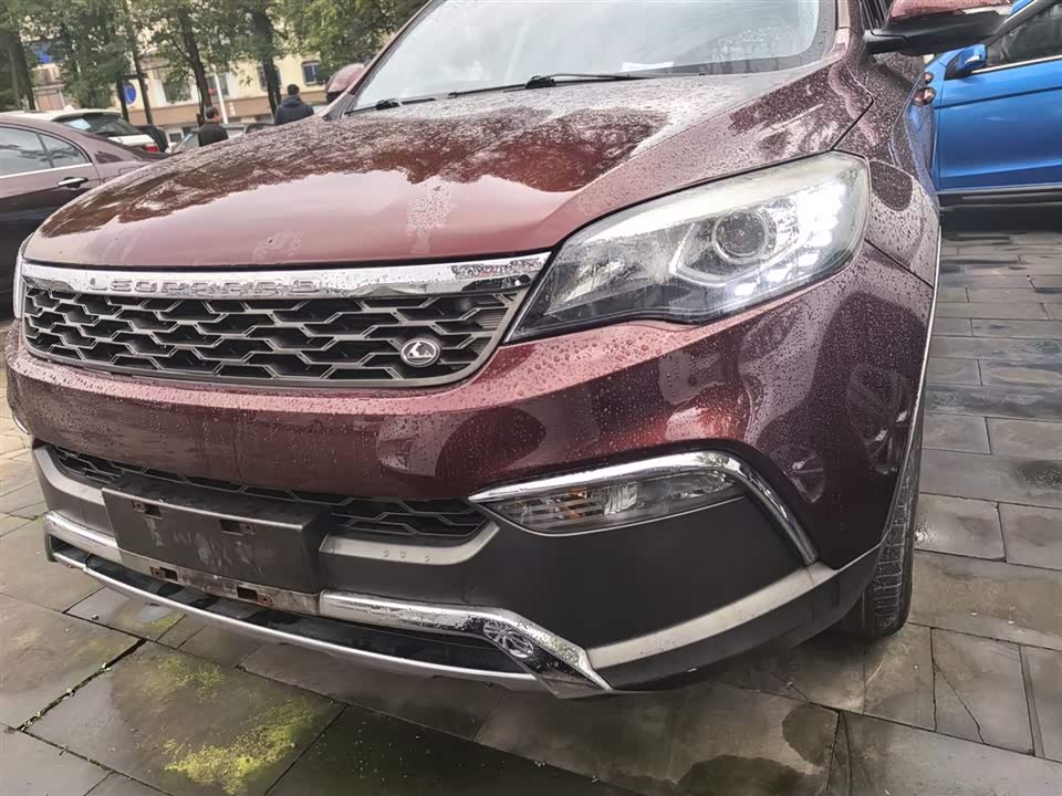 Leopaard Cheetah CS10