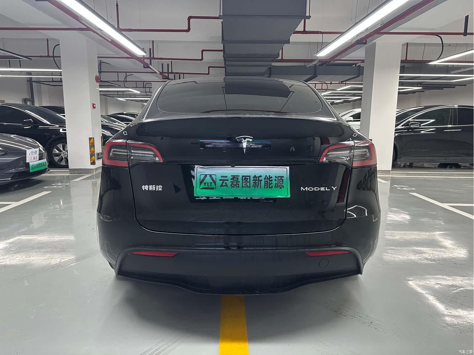 Tesla Model Y, 2022 все фото