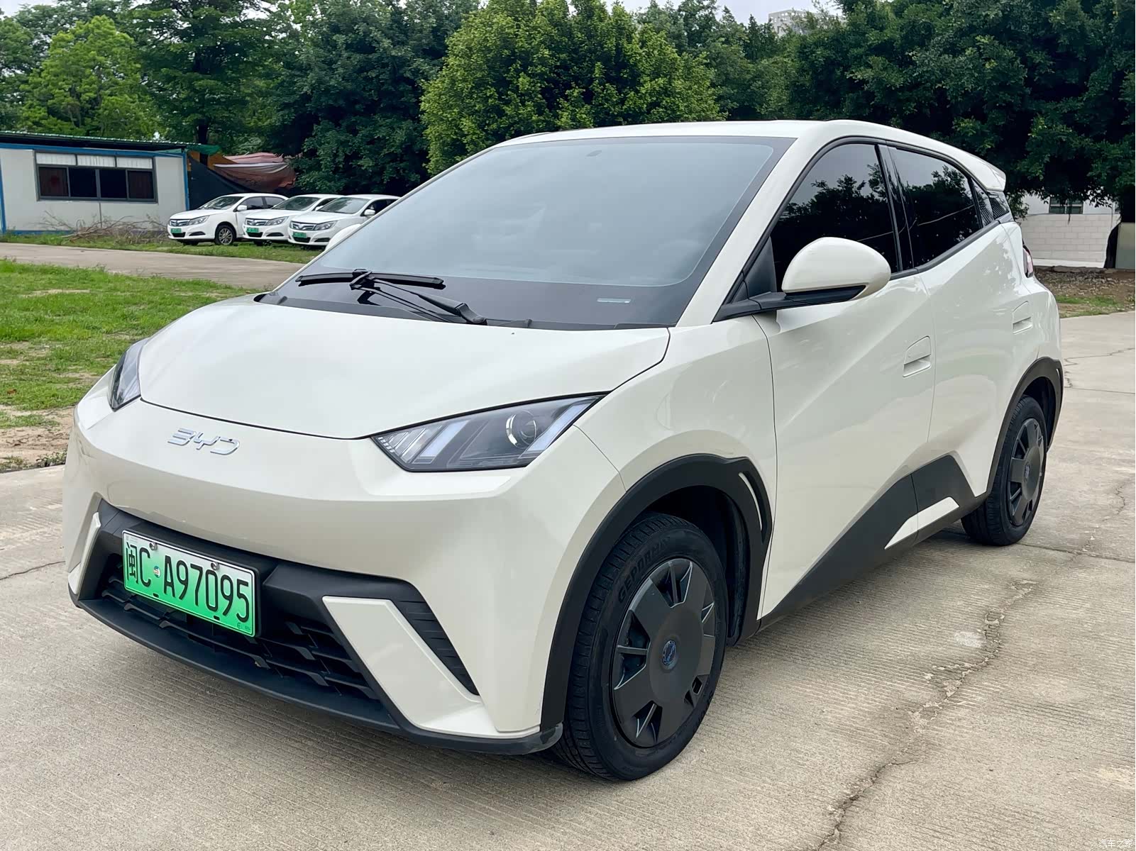 BYD Seagull, 2024 1