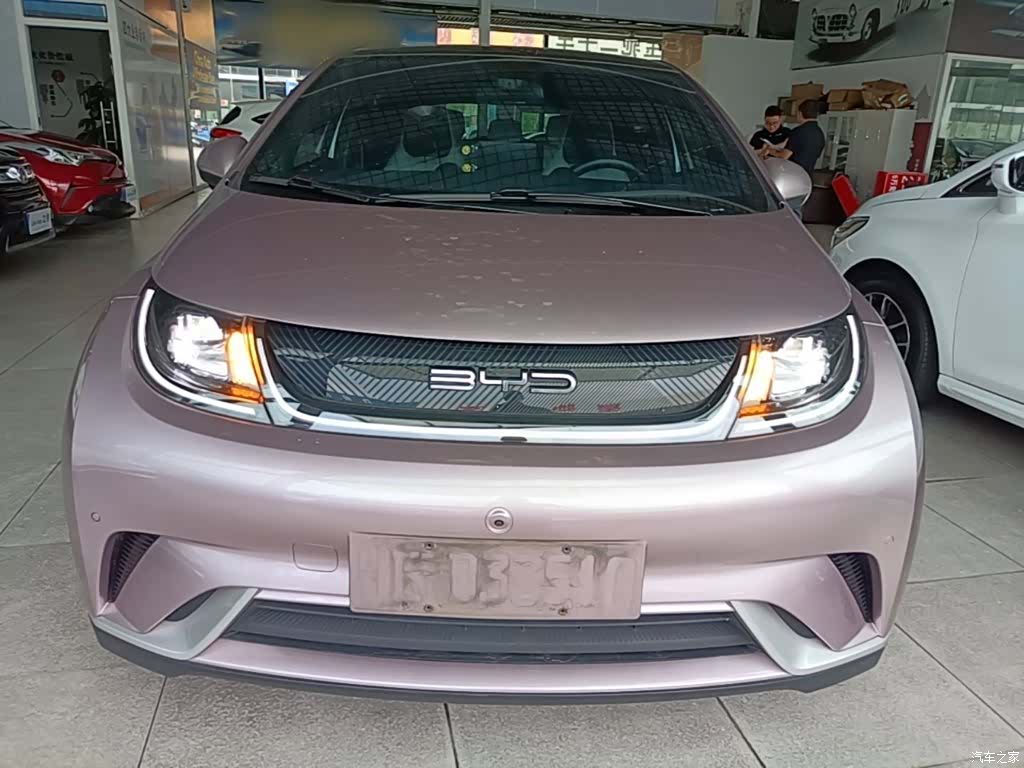 BYD Dolphin, 2024 3