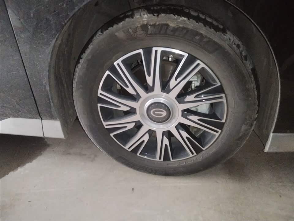 Trumpchi Trumpchi E9