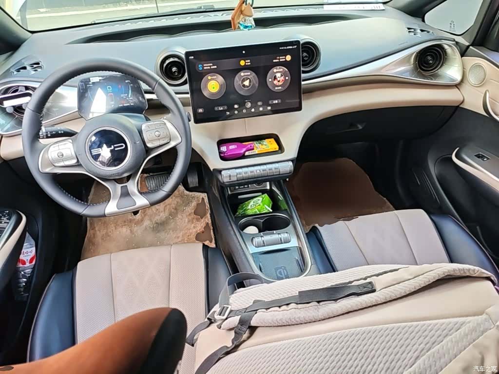 BYD Dolphin, 2023 10