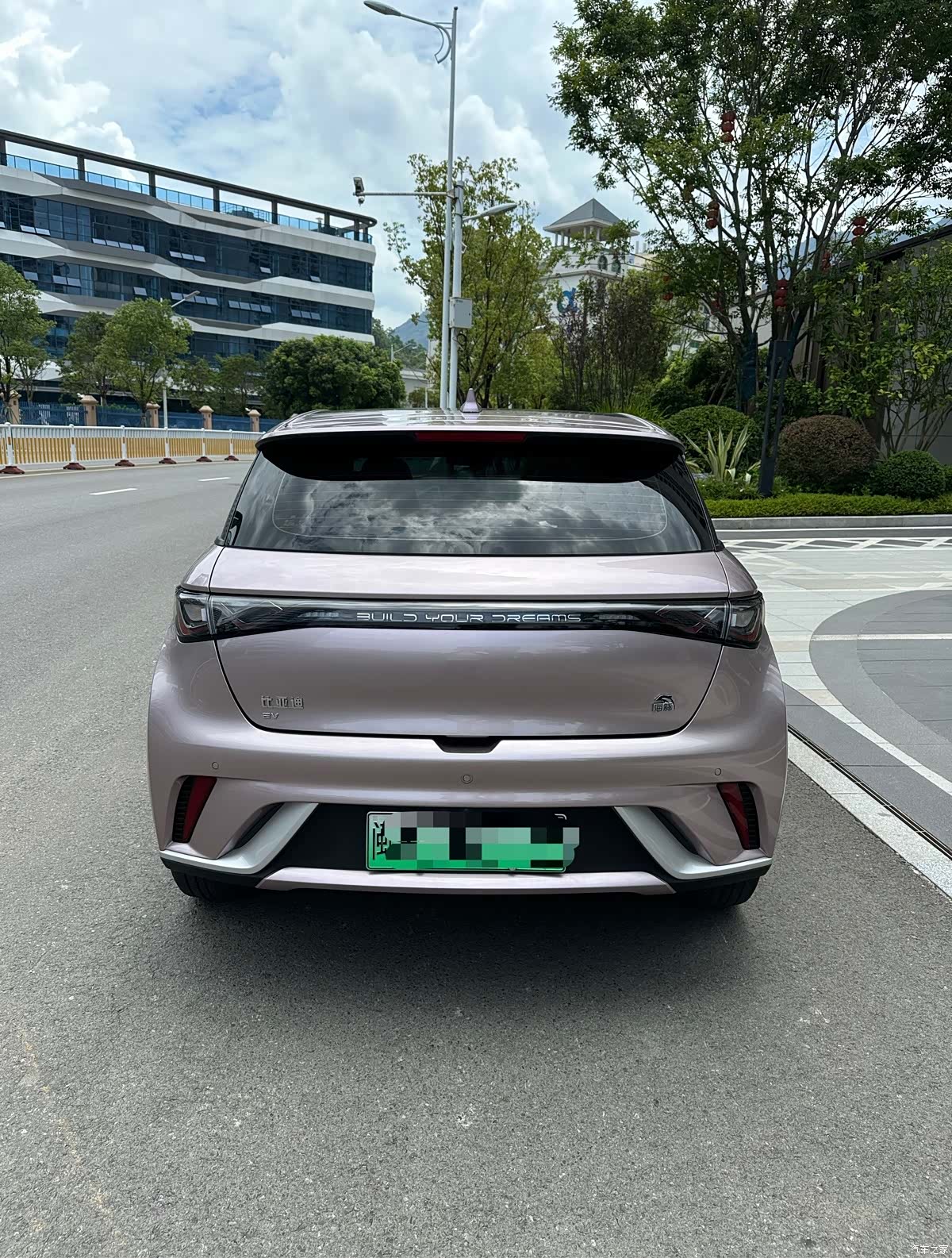 BYD Dolphin, 2022 4