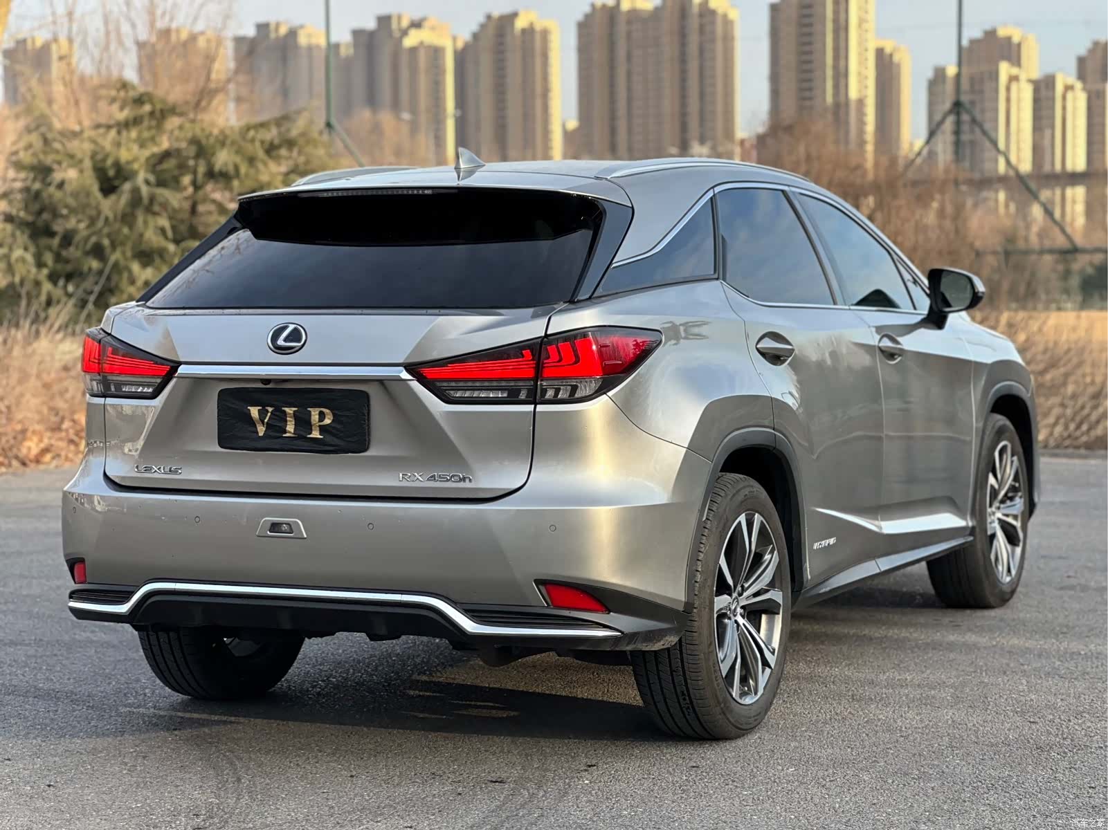 Lexus RX, 2020 8