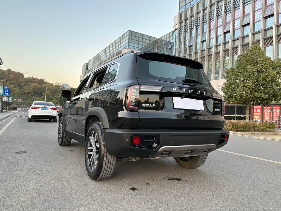 Haval Big dog