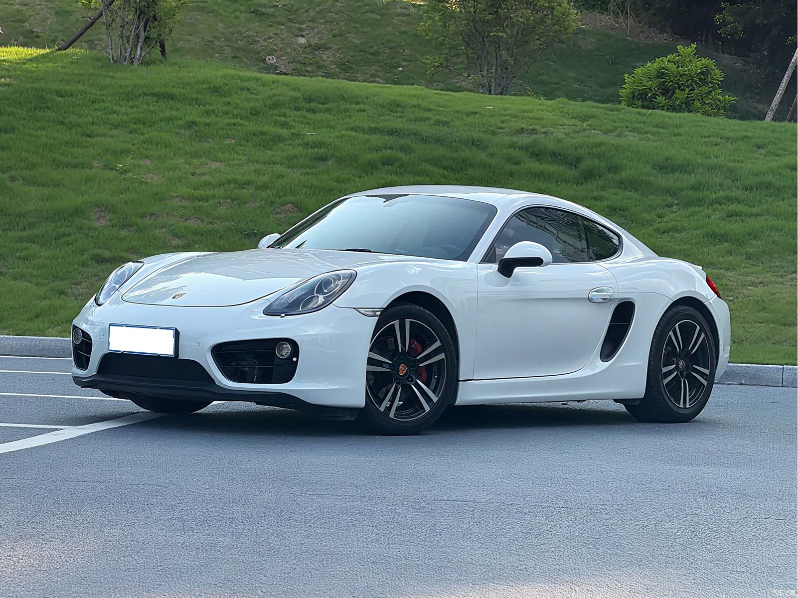 Porsche Cayman, 2015 4
