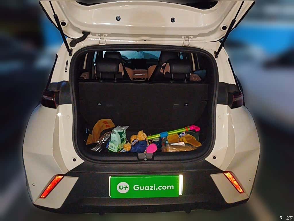 BYD Seagull, 2023 10