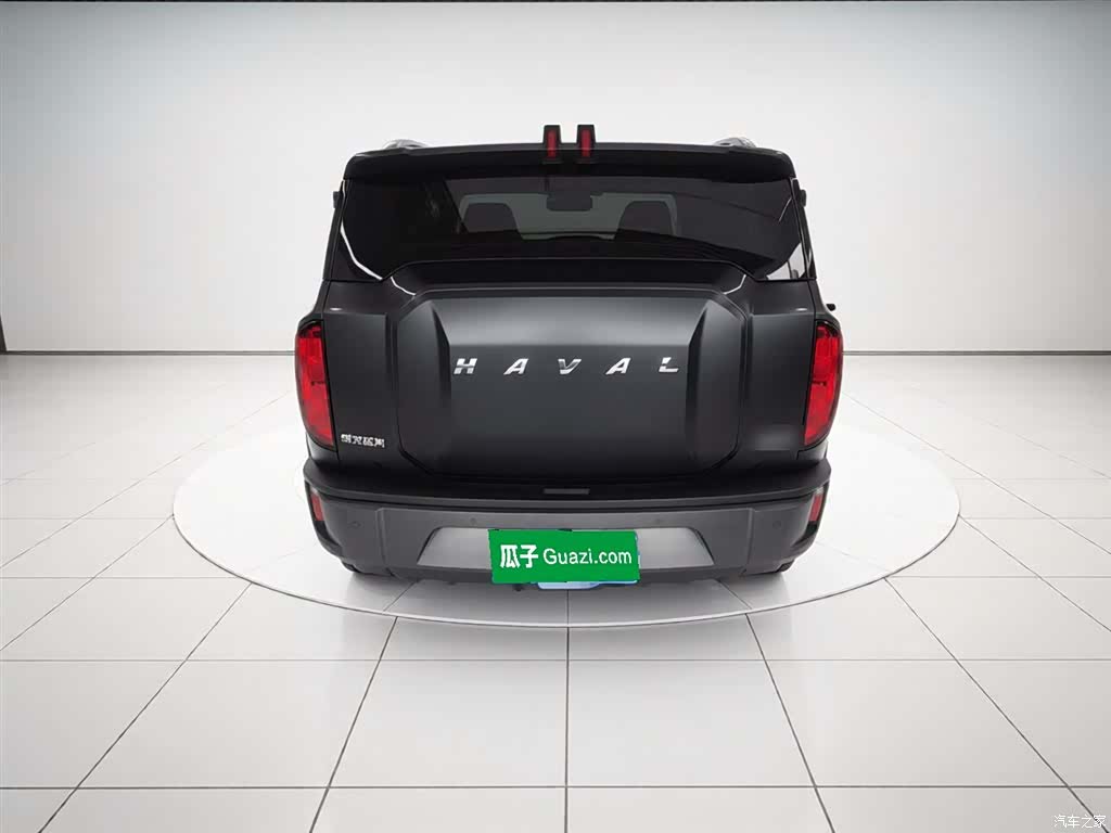 Haval Cool Dog, 2022 4