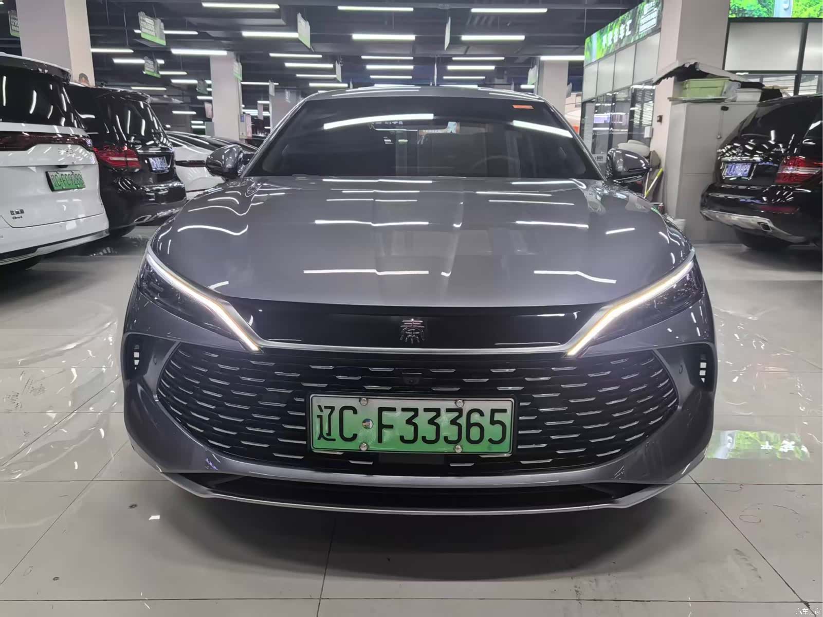 BYD Qin, 2025 2