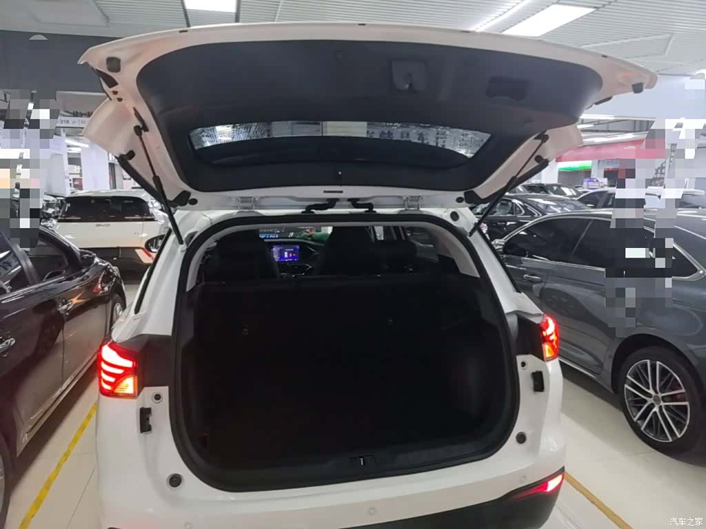 GAC GS4, 2020 19