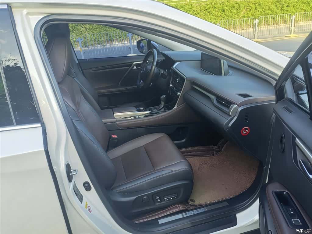 Lexus RX, 2017 10