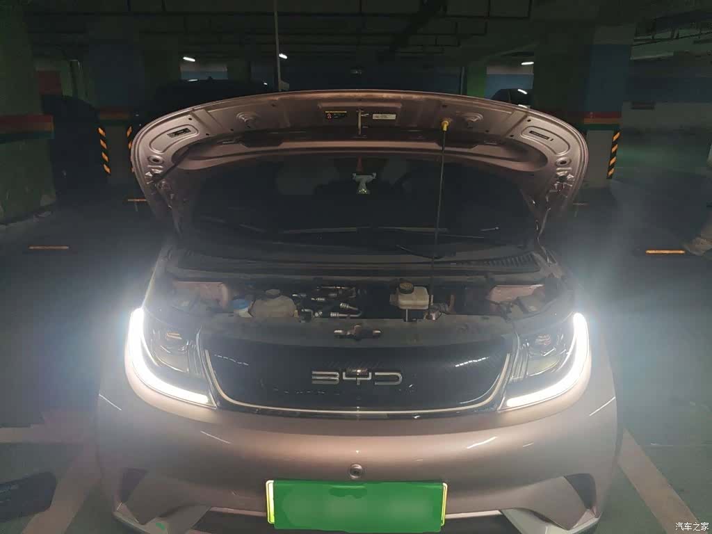 BYD Dolphin, 2023 11