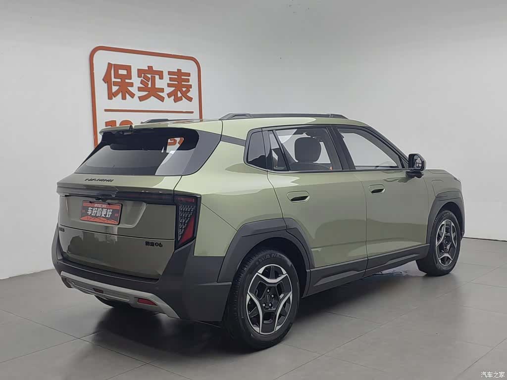 DongFeng 06, 2025 2