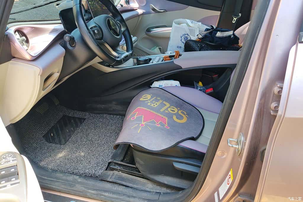 BYD Dolphin, 2022 8
