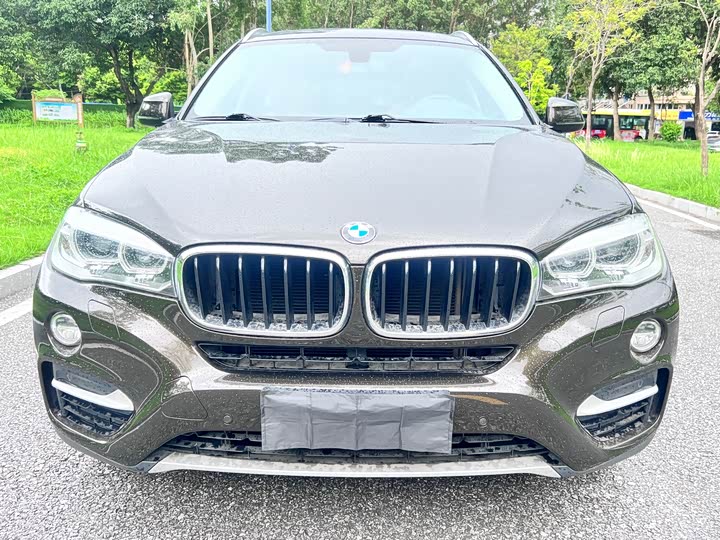 BMW X6 2015 xDrive35i Leading