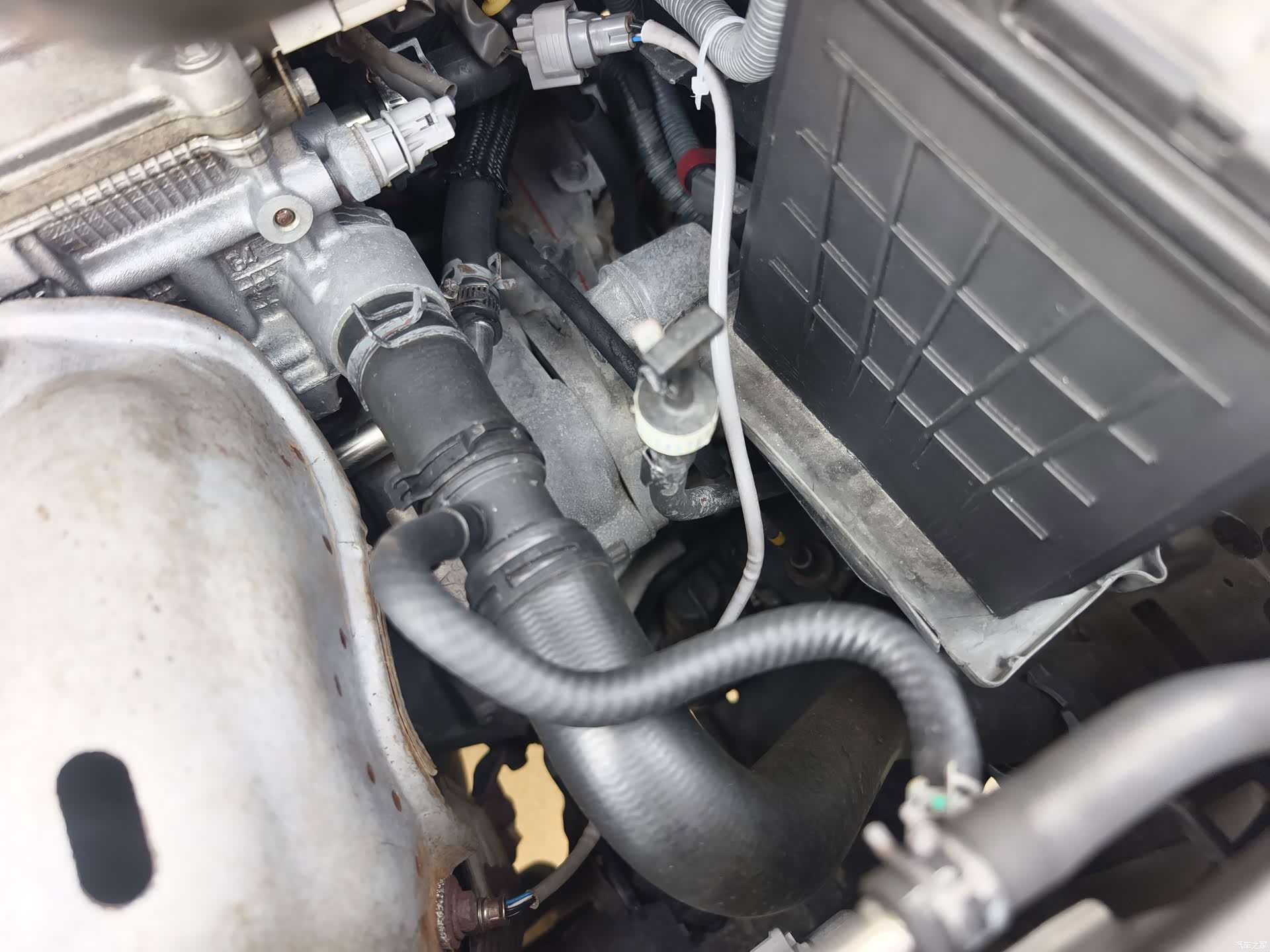 Toyota 7, 2010 21