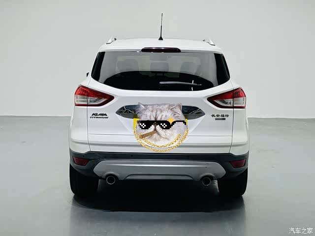 Ford Kuga, 2015 все фото