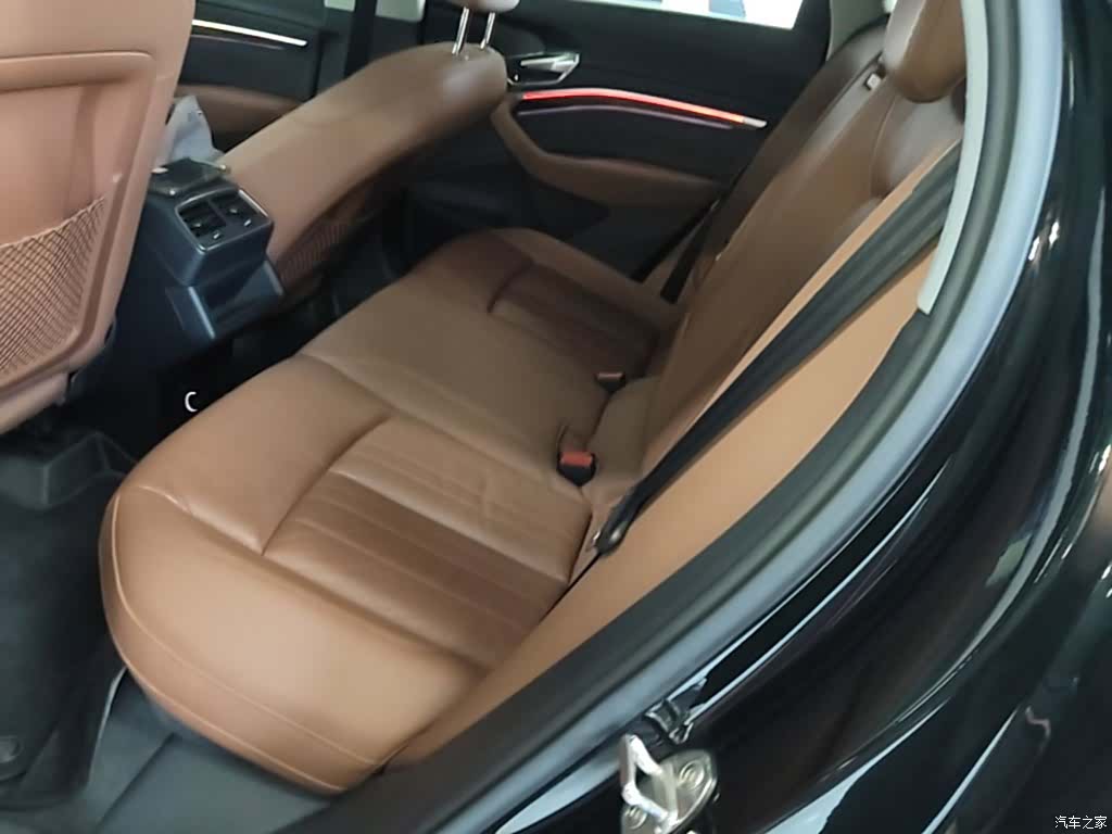 Audi e-tron, 2020 13