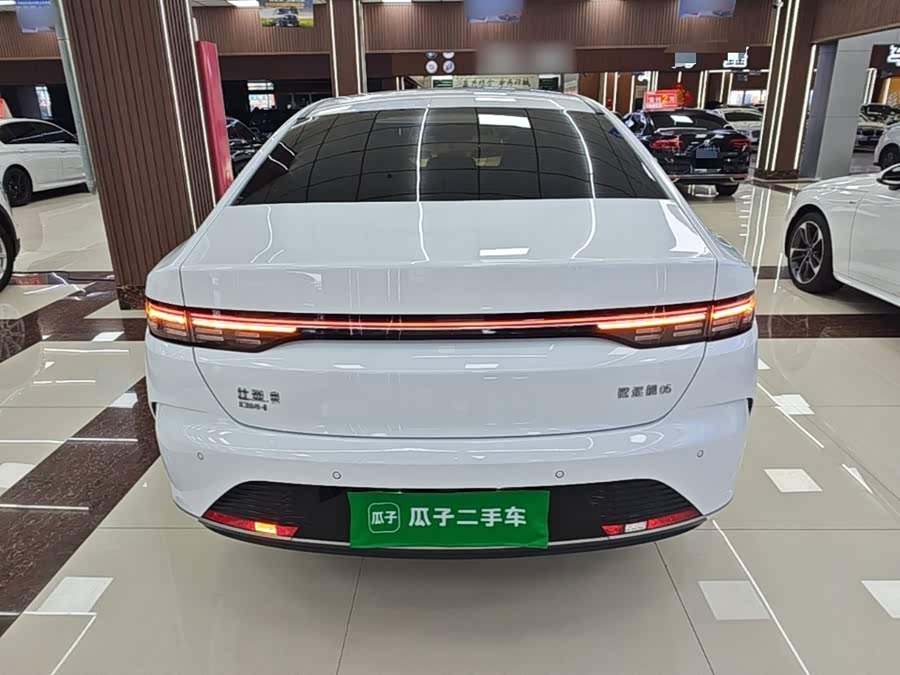 BYD Destroyer 05 2025, фото 6