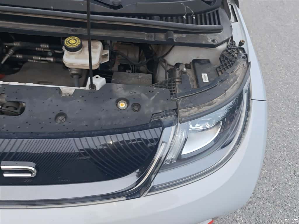 BYD Dolphin, 2021 22