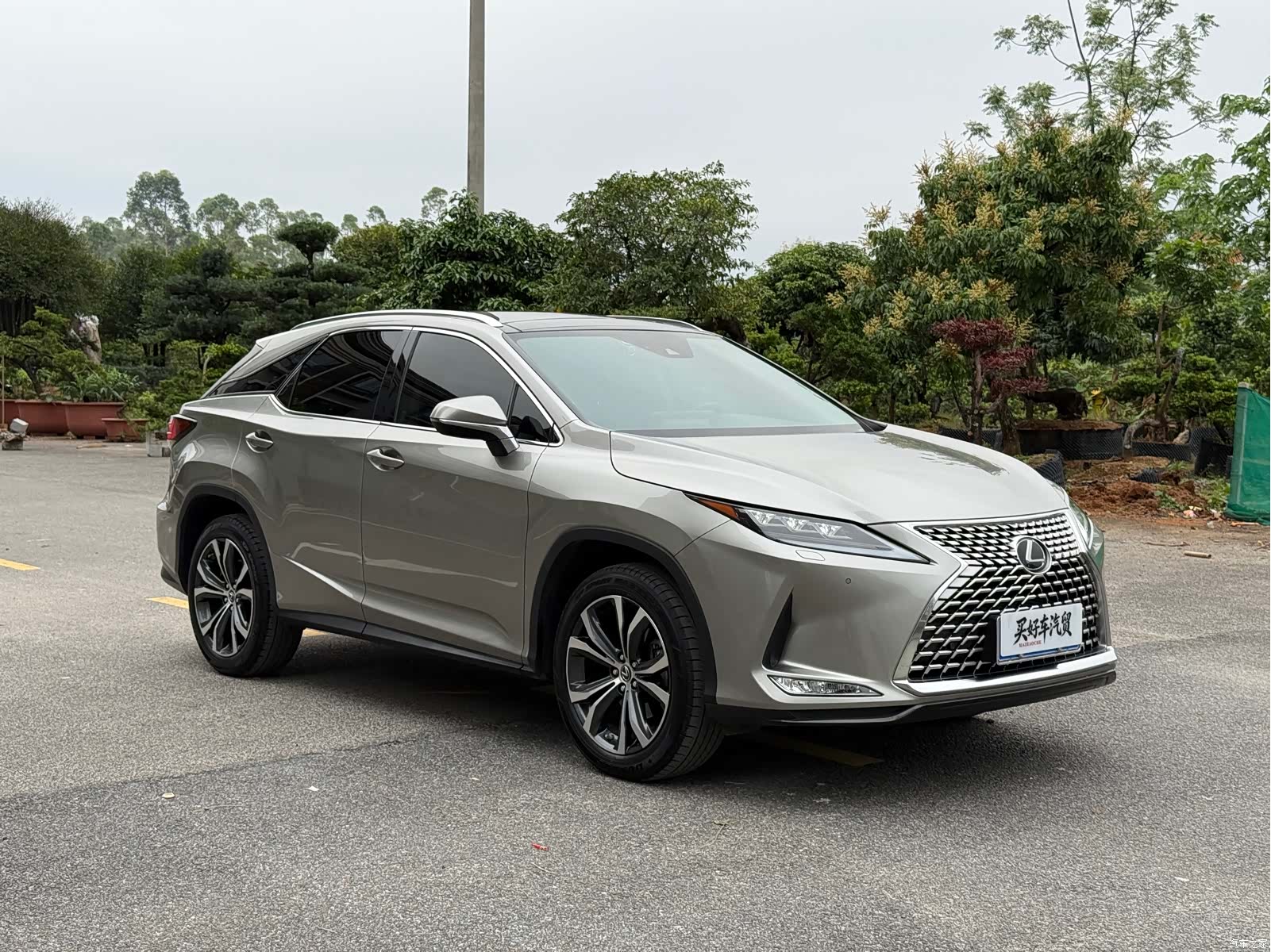 Lexus RX, 2022 3