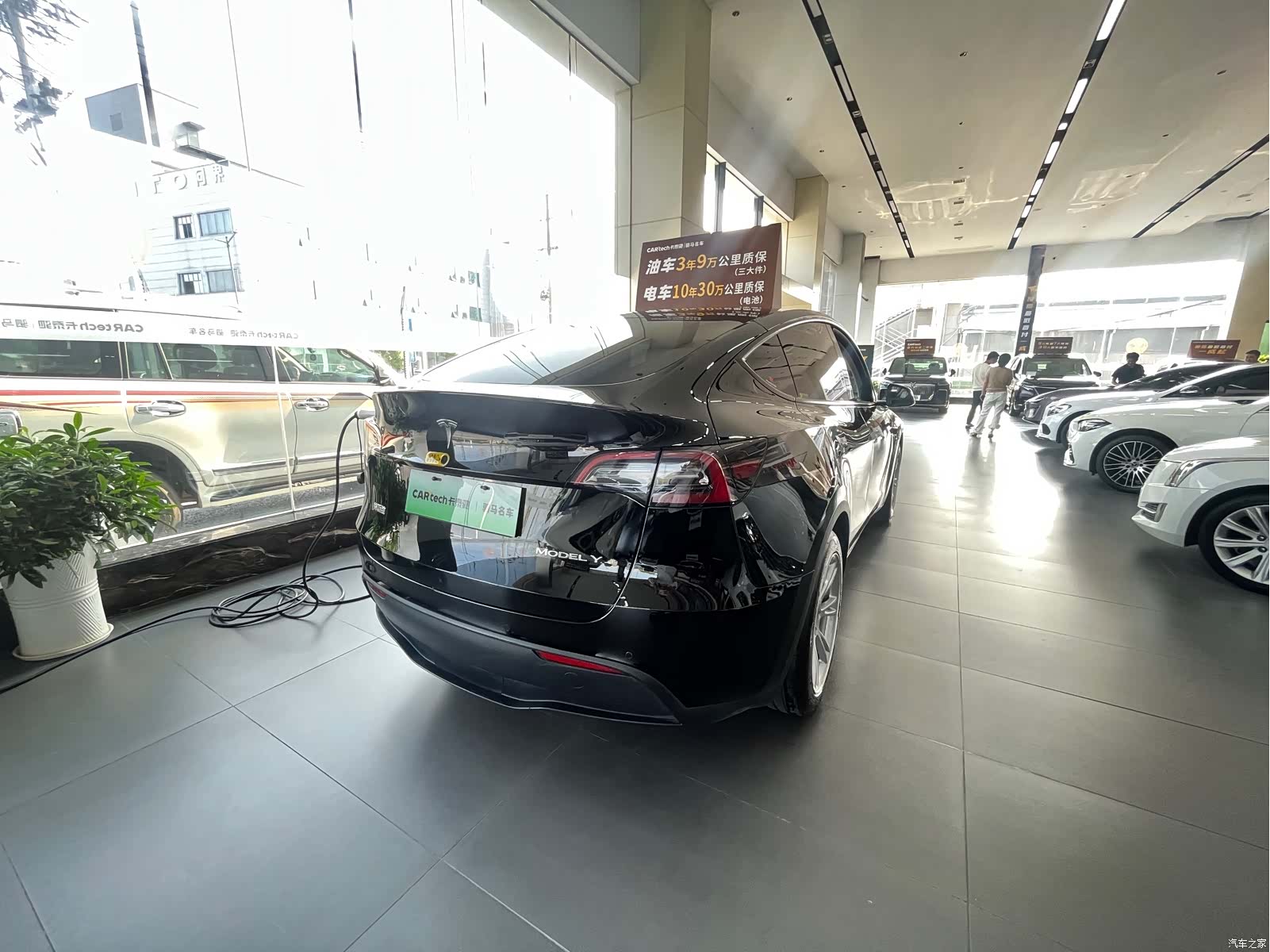 Tesla Model Y, 2023 все фото