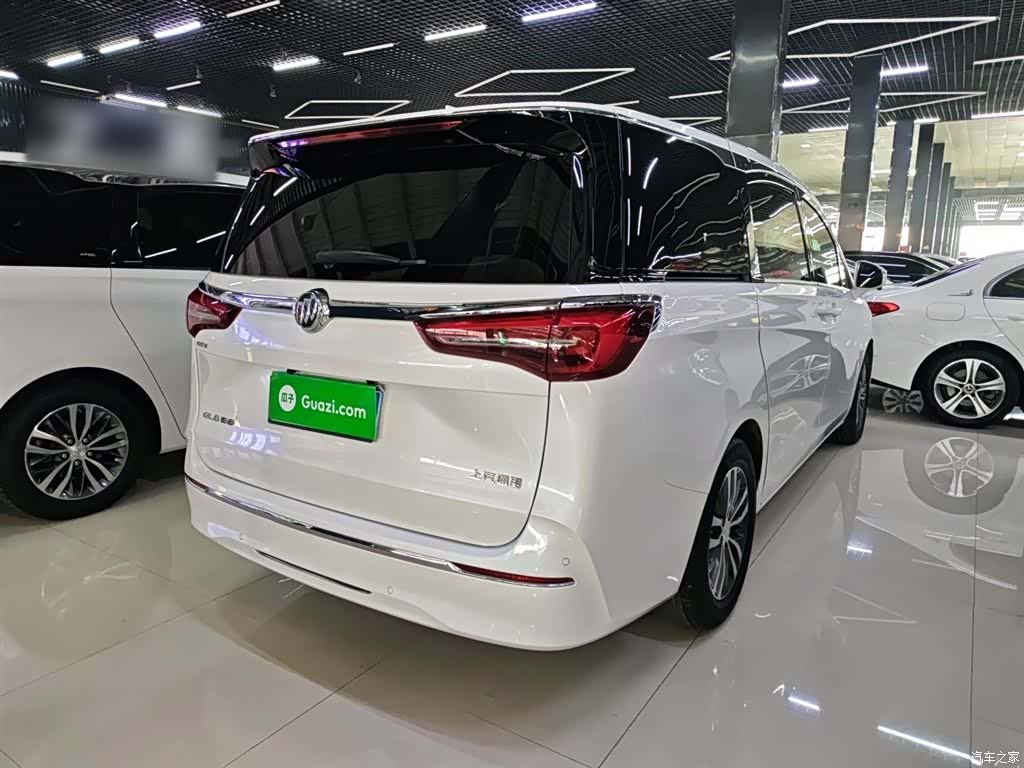 Buick GL8, 2020 все фото