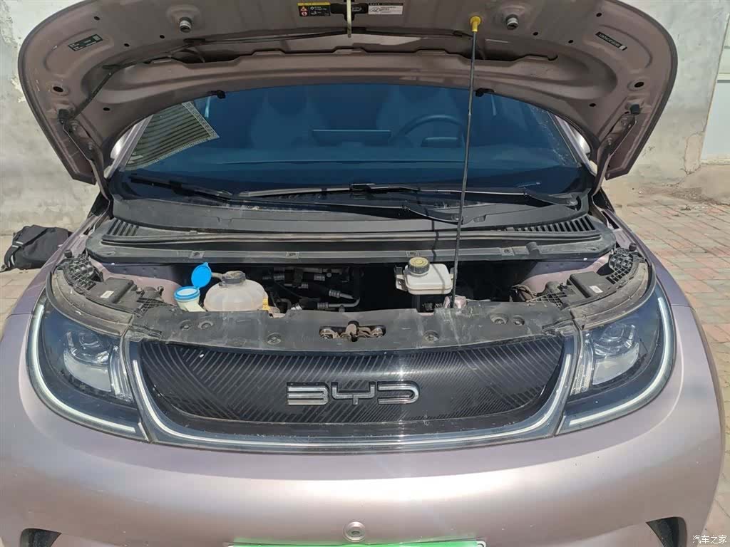 BYD Dolphin, 2023 16