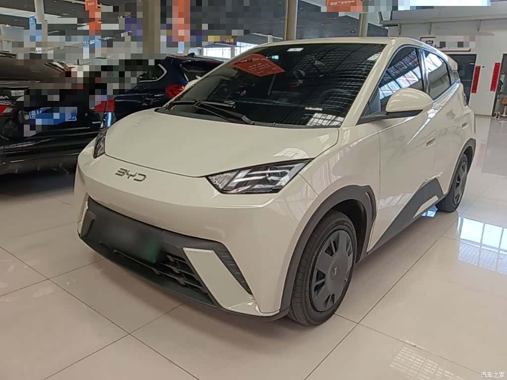 BYD Seagull, 2024 1