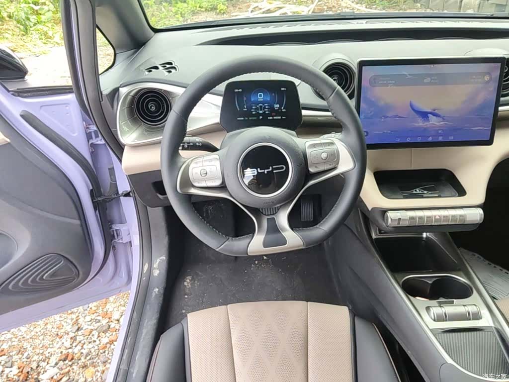 BYD Dolphin, 2023 11
