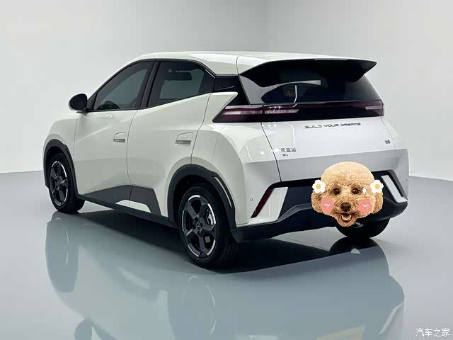 BYD Seagull, 2024 13